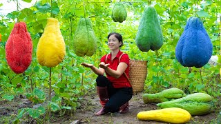 Harvesting Chayote amp Goes To Market Sell  Gardening And Cooking  Lý Tiểu Vân [upl. by Carin41]