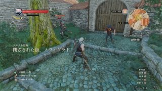 【PS4】The Witcher 3 Wild Hunt  Part 100 ・ Side Quest 閉ざされた街、ノヴィグラド①Novigrad Closed City① [upl. by Rrats765]