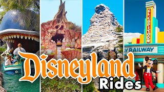 Disneyland Rides  2023 POVs 4K [upl. by Volding]