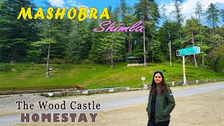 Beautiful Homestay in Mashobra Shimla  The Wood Castle  3 Bedroom Apartment Fully Furnished [upl. by Lyle664]