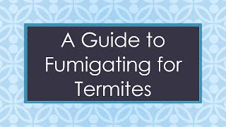 A Guide to Fumigating for Termites [upl. by Pitzer]