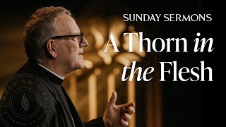 A Thorn in the Flesh  Bishop Barrons Sunday Sermon [upl. by Gilcrest]