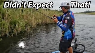 How to Fish a Spinnerbait  Scott Martin  Everything you need to know [upl. by Rattan]