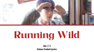 Jin 진  quotRunning Wildquot Colour Coded Lyrics [upl. by Reniti]