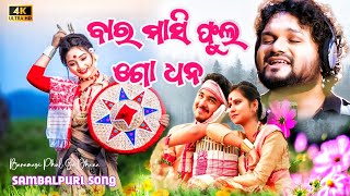 Baramasi Phul  ବାରମାସୀ ଫୁଲ ଗୋ ଧନ  Tranding Sambalpuri Song  Human Sager And Diptirekha Padhi [upl. by Annam]