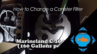 How to change a canister filter media cleaning  Marineland C160 aquarium maintenance [upl. by Pancho]