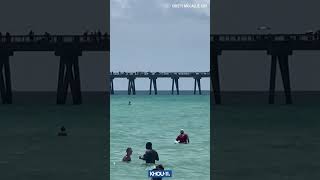 Scary moment as shark spotted near swimmers at Navarre Beach Florida shorts [upl. by Nonek439]