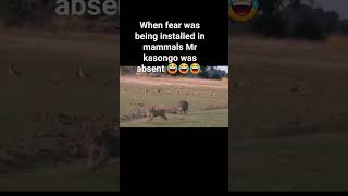 MR Warthog Fearless 😂😂😂 [upl. by Scrivings]