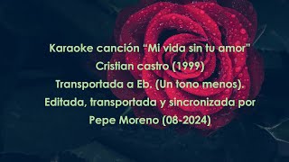 Karaoke Mi vida sin tu amor [upl. by Petr]