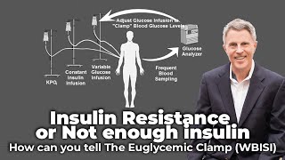 Insulin Resistance or Not Enough Insulin How Can You Tell The Euglycemic Clamp WBISI [upl. by Adnowal]