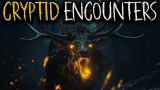 10 TERRIFYING Cryptid Encounters that will HAUNT Your Nightmares [upl. by Odraode539]