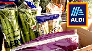 GUESS WHATS BACK 🙂 ALDI HEALTHY GROCERY HAUL [upl. by Kcirdahc104]