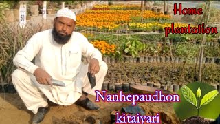 Nanhe paudhon ki taiyariHome plantationshehraz gardening ideas for home garden [upl. by Anilatac]