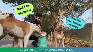 Bully👺 kya khata hai  Donated all gifts to community dogs 😍 [upl. by Ettevets]