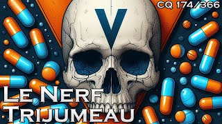 NC V  Le Nerf Trijumeau  CQ174 [upl. by Cassil]