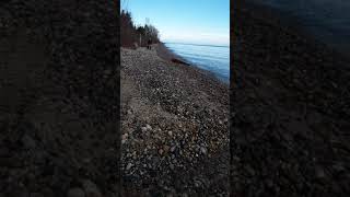 Harrisville Michigan beach rock hounding in December [upl. by Gwenora]