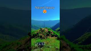 Natural beauty 😍 Islamic Whatsapp status 💕shortvideo nature islamicstatus naatsharif [upl. by Adnwahsar]