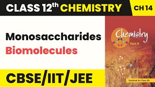 Class 12 Chemistry Chapter 14  Monosaccharides  Biomolecules 202223 [upl. by Wernher]