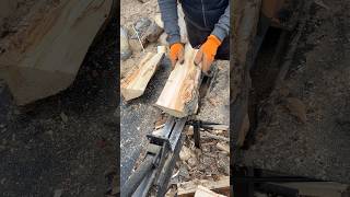 I chop trees with moss with a woodcutter woodworking woodwork [upl. by Delora]