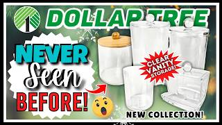 MINDBLOWING DOLLAR TREE Haul Worthy Finds You CANT MISS Out On New OASIS Clear Organizer JACKPOT [upl. by Aissatsan]