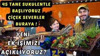 YENİ EK İŞİMİZ 45 TANE SUKULENTLE BAŞLIYORUZ ÇİÇEK SEVERLER BURAYA  ATEŞTE KIZARTMA KÖY VLOG [upl. by Enelear419]