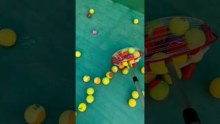 🎾🎾Efficiently Collect Tennis Balls with This Simple Tool smalleyes games smallball tennisball [upl. by Dunn]