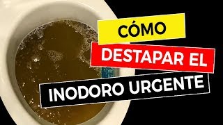 Cómo Destapar el Inodoro Urgente 🚽 [upl. by Toddy]