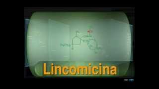 Tetraciclinas y Clindamicina [upl. by Nawaj]