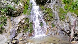 Wasserfall  Natur pur in Full HD  Entspannung [upl. by Martguerita]