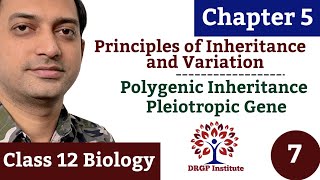 Polygenic Inheritance Pleiotropy  Chapter 5 Principles of Inheritance and Variation  07  Class 12 [upl. by Balf]