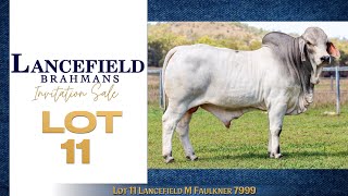 Lot 11 Lancefield M Faulkner 7999 [upl. by Reagan]