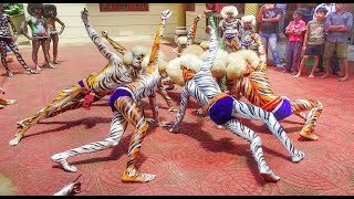 Tiger Dance  Kadri Kambla Friends Mangalore  Pili Nalike [upl. by Brackely45]