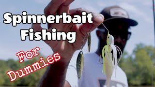 Fishing Gear You Need to Retrieve a Spinnerbait Correctly [upl. by Brigid]