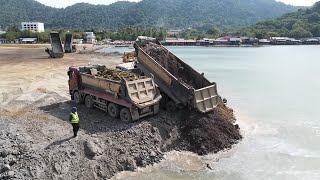 OMG Excellent Mini SHANTUI Dozer Ft Komatsu D58p with Dump Trucks Processing Perfective Filling up [upl. by Leonardi]