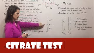 Citrate Test [upl. by Trik]