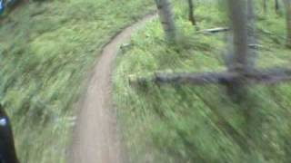 mountain biking POV [upl. by Assilen]