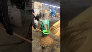 Cattle feed Mill small pellet making machine [upl. by Alcus]