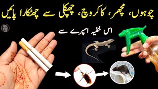 Get rid of rats Mosquito cockroach lizard with homemade spraypowerful insects killer remedy🙄 [upl. by Palmira]