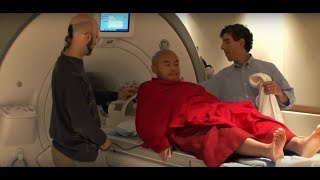 Meditations Impact on the Brain  Documentary Clip [upl. by Amerigo169]