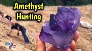 Finding Large Amethyst Crystals Digging Jackson’s Crossroads  Public Mine  JXR [upl. by Vere]