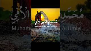 Allah huma sali alla daroodsharif islamicshorts islamicvideo islam [upl. by Atnek]