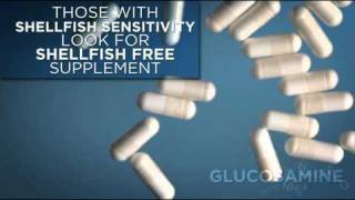 Bodybuildingcom Guide to Glucosamine [upl. by Aivatal818]