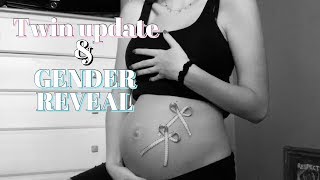 twin update weeks 1317  GENDER REVEAL [upl. by Yeldah]