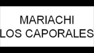 ojos castaños mariachi los caporales [upl. by Dibbell]