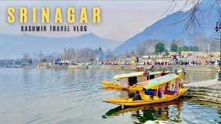 Srinagar Kashmir  Srinagar Tourist Places  Dal Lake  Houseboat  Srinagar Tour  Kashmir Tour [upl. by Jerald]