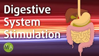 Digestive System Stimulation with Isochronic Tones Stimulate Digestion [upl. by Court]