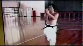 IWAO YOSHIOKA  Karate Do 5 [upl. by Amocat]