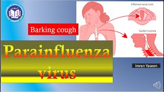 Human Parainfluenza virus causes croup or barking cough  Virology  by Imran Yaseen [upl. by Josie]