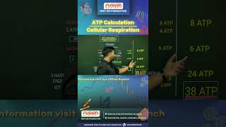 ATP calculation  cellular respiration by Sourabh sir  fusion academy Bilaspur neet jee bilaspur [upl. by Scoville]