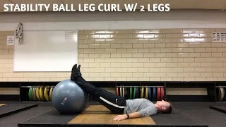 Stability Ball Leg Curl w 2 Legs [upl. by Ahsima577]